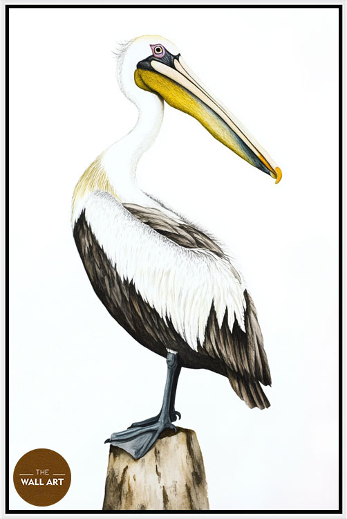 images/products/yellow_beack_pelican/yellow_beack pelican_WHITE.jpg